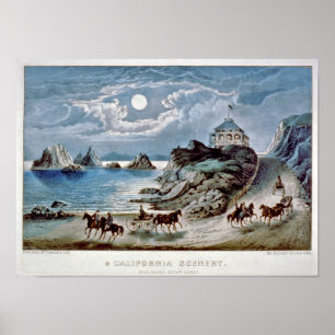 Poster Cenário da Califórnia: Seal rocks-Point Lobos