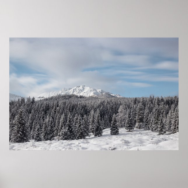Poster Cenário de inverno impressionante (Frente)