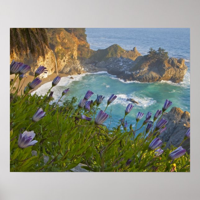 Poster Cenário de McWay Falls desaba na praia e (Frente)