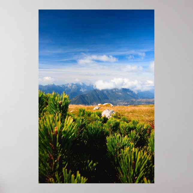 Poster Cenário montanhoso do outono (Frente)
