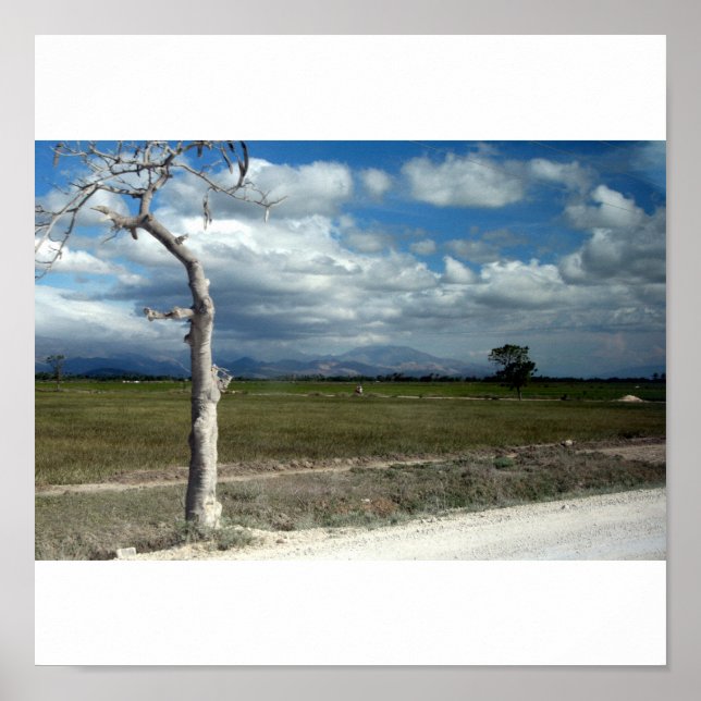 Pôster Cenas do Haiti (Frente)