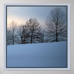 Poster Cênico de Árvores de Inverno