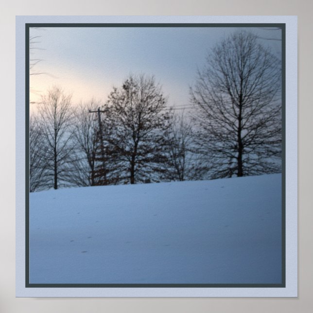 Poster Cênico de Árvores de Inverno (Frente)