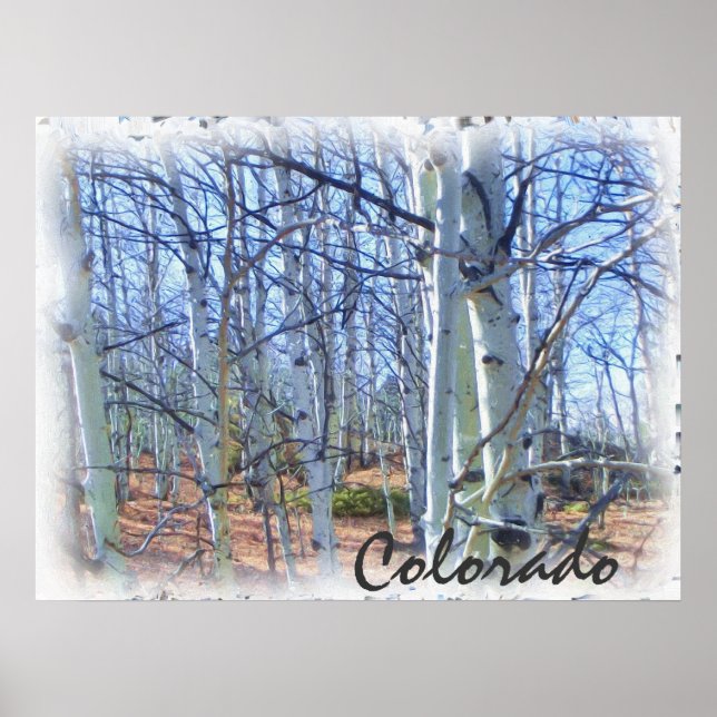 Poster cênico do Colorado aspen (Frente)