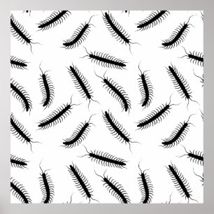Poster Centipedes