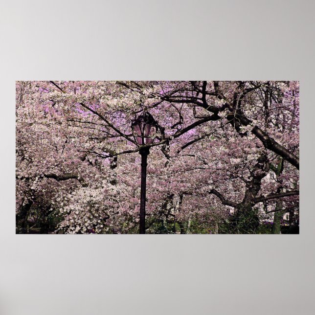 Pôster Central Park (Frente)