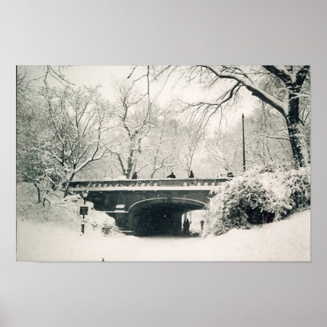 Pôster central park bridge (Frente)