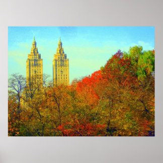 Pôster Central Park Lake View 2006