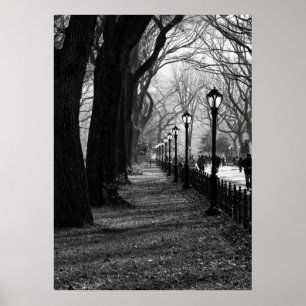 Pôster Central Park, Nova Iorque