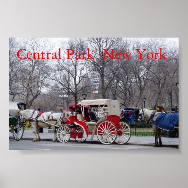 Poster Central Park / Nova York (Frente)