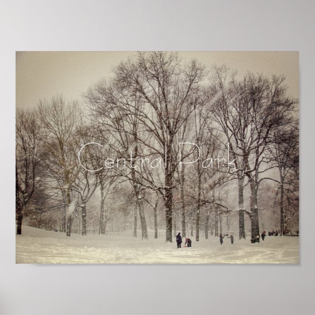 Poster Central Park, NYC (Frente)