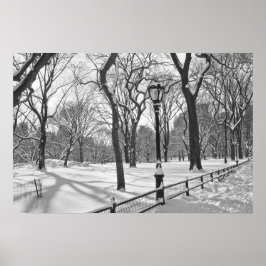 Poster Central Park Snowfall B&W