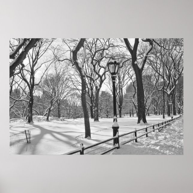 Poster Central Park Snowfall B&W (Frente)