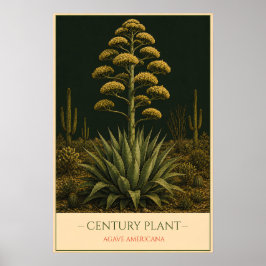 Poster Century Plant – Vintage Botanical Illustration