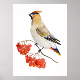 Poster Cera de aves da floresta aquosa