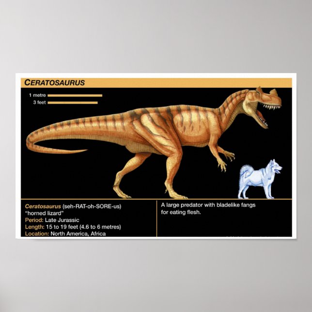 Poster Ceratosaurus - Biology Jurassic (Frente)