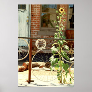 Poster Cerca da bicicleta