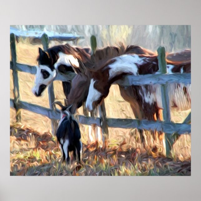 Pôster Cerca de Amigos (Frente)