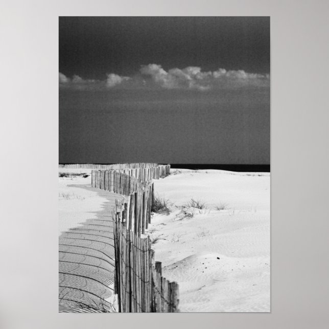 Pôster cerca de corrida (Frente)