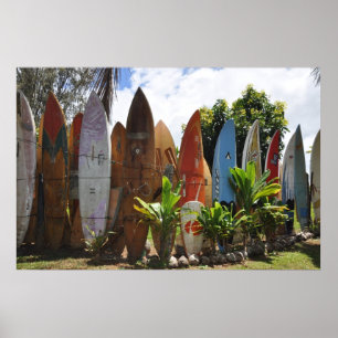 Poster Cerca Maui da prancha, HI