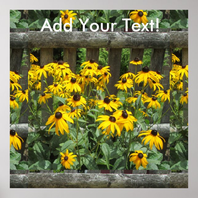 Pôster Cerca Meteorada do Cluster Daisy (Frente)