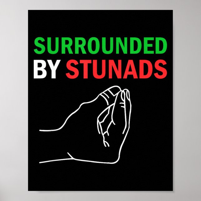 Poster Cercato da Stunads Detti Italiani Divertenti  (Frente)