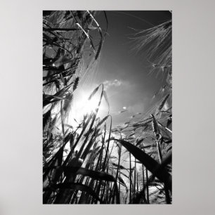 Pôster Cereal preto Weis