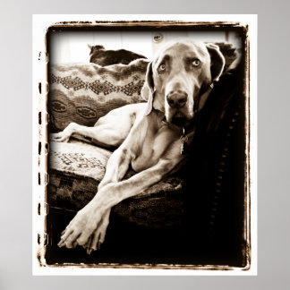 Pôster Cerebelo atômico: Cadeira de Ballou