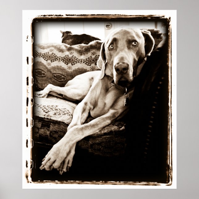 Pôster Cerebelo atômico: Cadeira de Ballou (Frente)