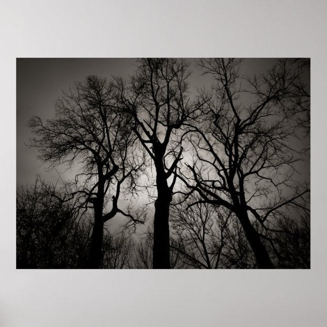 Pôster Cerebelo atômico: Frente do lago no inverno (Frente)