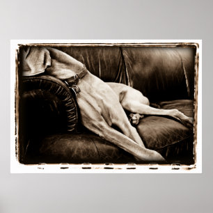 Pôster Cerebelo atômico: Tomada sobre o sofá