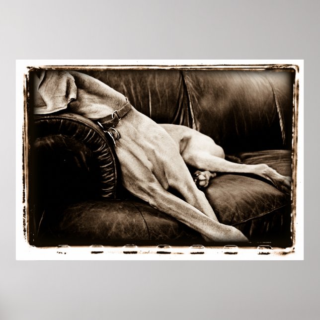 Pôster Cerebelo atômico: Tomando conta do sofá (Frente)