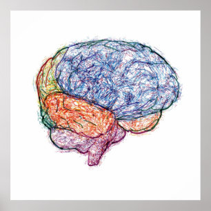 Pôster cérebro