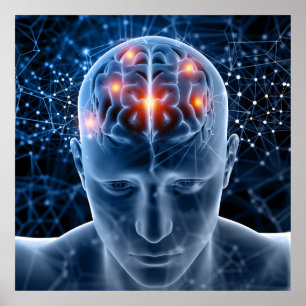 Poster Cérebro Humano