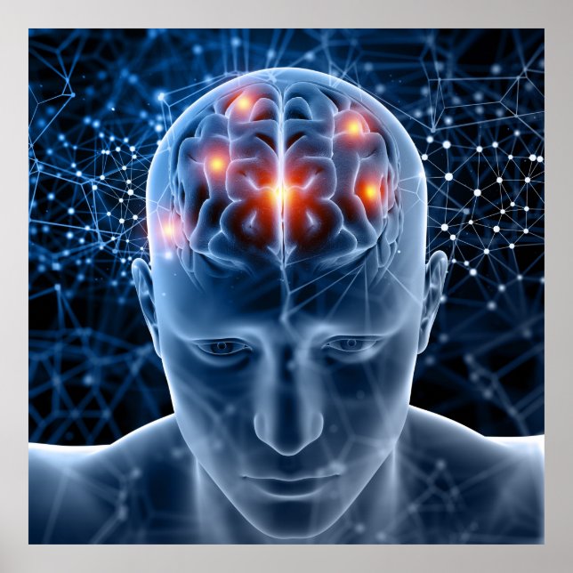 Poster Cérebro Humano (Frente)
