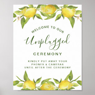 Poster Cerimônia de Casamento sem Dispositivos Lemons Blo