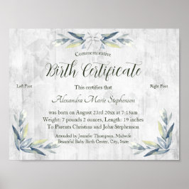 Poster Certificado Comemorativo de Nascimento de Nova Peg