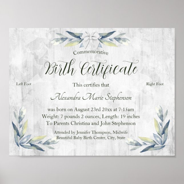 Poster Certificado Comemorativo de Nascimento de Nova Peg (Frente)