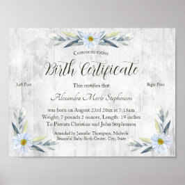 Poster Certificado Comemorativo de Nascimento de Nova Peg