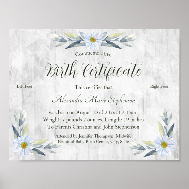 Poster Certificado Comemorativo de Nascimento de Nova Peg (Frente)