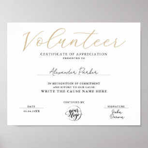 Poster Certificado de Apreciação de Voluntário em Ouro Si