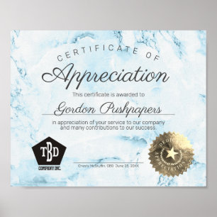 Poster Certificado de apreciação de voluntários de fun