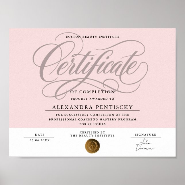 Poster Certificado de Beleza Profissional Rosa Blush Chic (Frente)