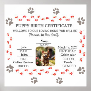 Poster Certificado de Nascimento de Puppy Personalizado