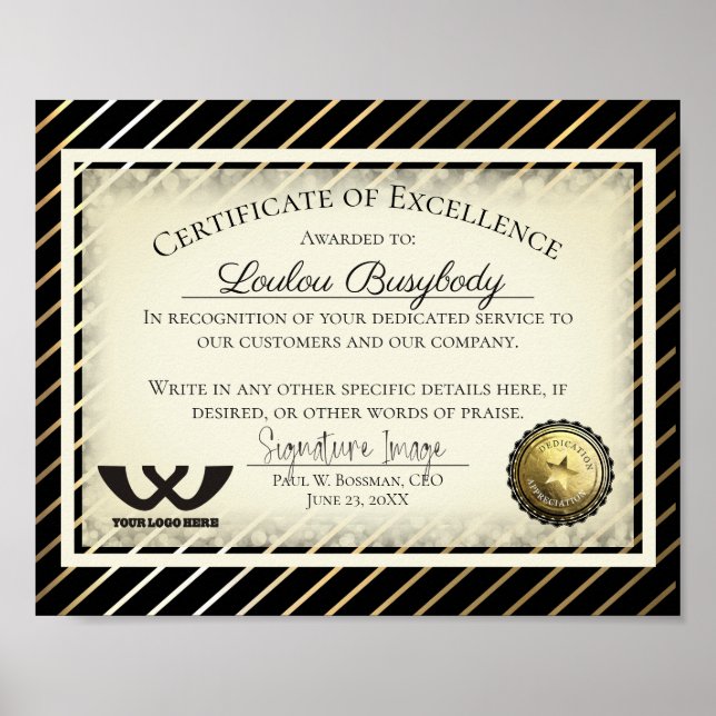 Poster Certificate of excellence employee volunteer award (Frente)