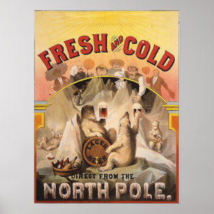 Pôster Cerveja - fresca e frio do Pólo Norte