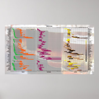 Pôster Cerveja pelos números - estilos