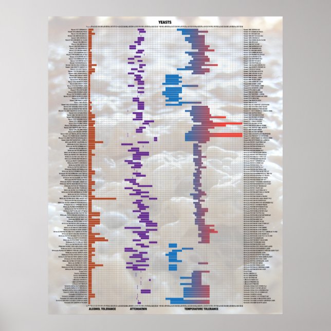 Poster Cerveja pelos números - Levedura (Frente)