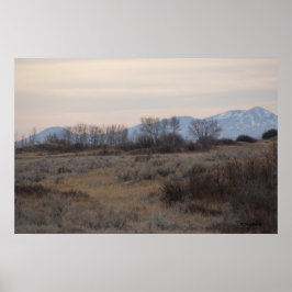 Poster Cervo Mulo D4 Sweet Grass Hills