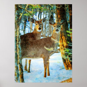 Poster Cervos de Whitetail na aguarela dos animais
